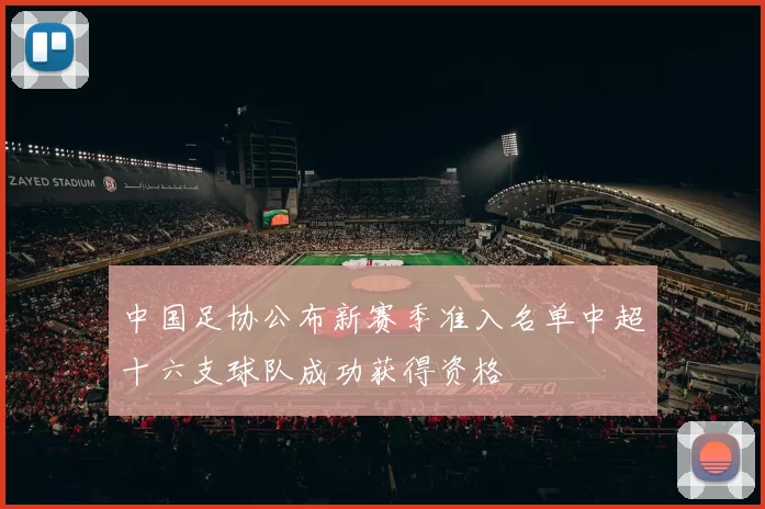 中国足协公布新赛季准入名单中超十六支球队成功获得资格