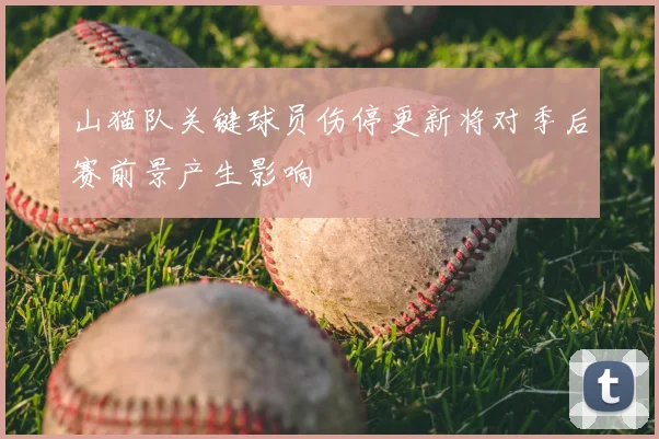 山猫队关键球员伤停更新将对季后赛前景产生影响
