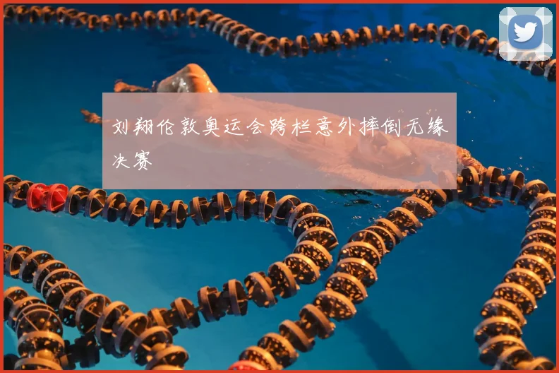 刘翔伦敦奥运会跨栏意外摔倒无缘决赛
