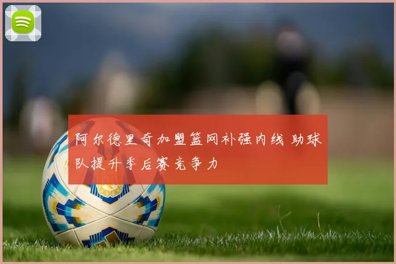 阿尔德里奇加盟篮网补强内线 助球队提升季后赛竞争力