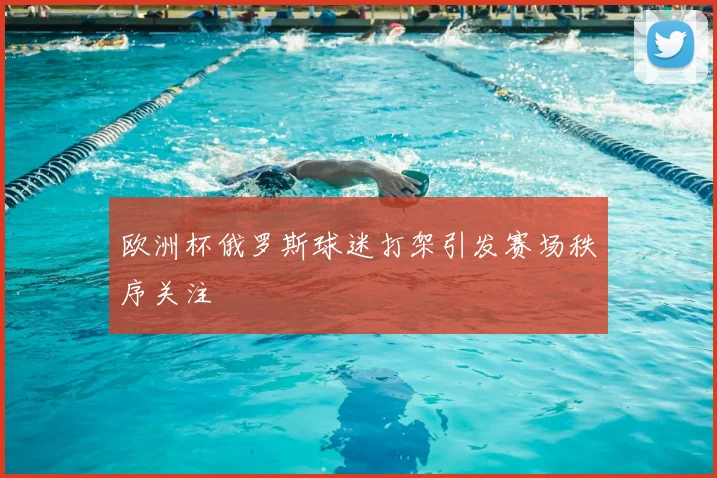 欧洲杯俄罗斯球迷打架引发赛场秩序关注